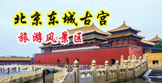 韩国美国操逼逼中国北京-东城古宫旅游风景区